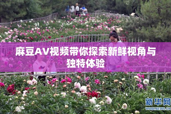 麻豆AV视频带你探索新鲜视角与独特体验