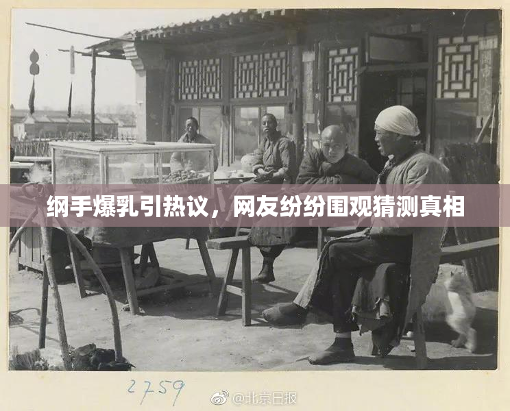 纲手爆乳引热议，网友纷纷围观猜测真相