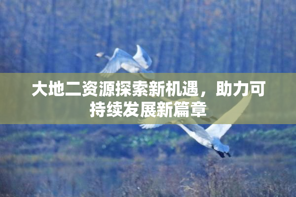 大地二资源探索新机遇，助力可持续发展新篇章