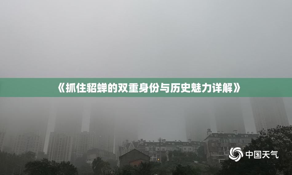 《抓住貂蝉的双重身份与历史魅力详解》