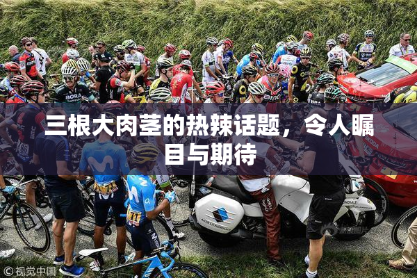 三根大肉茎的热辣话题，令人瞩目与期待