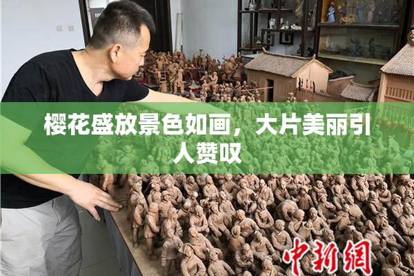 樱花盛放景色如画，大片美丽引人赞叹
