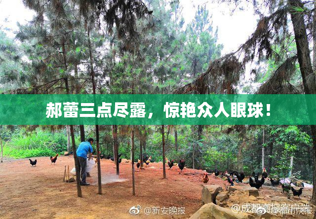 郝蕾三点尽露，惊艳众人眼球！