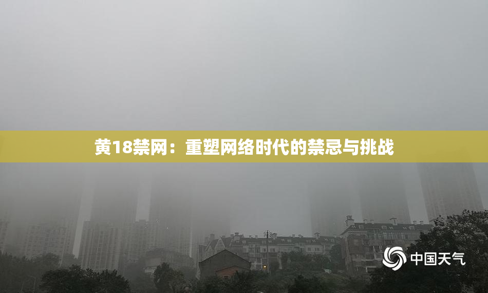 黄18禁网：重塑网络时代的禁忌与挑战