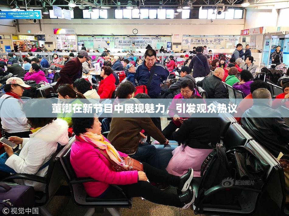 董卿在新节目中展现魅力，引发观众热议