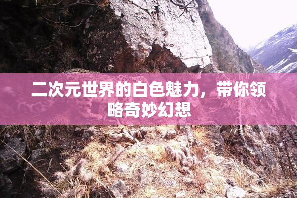 二次元世界的白色魅力，带你领略奇妙幻想