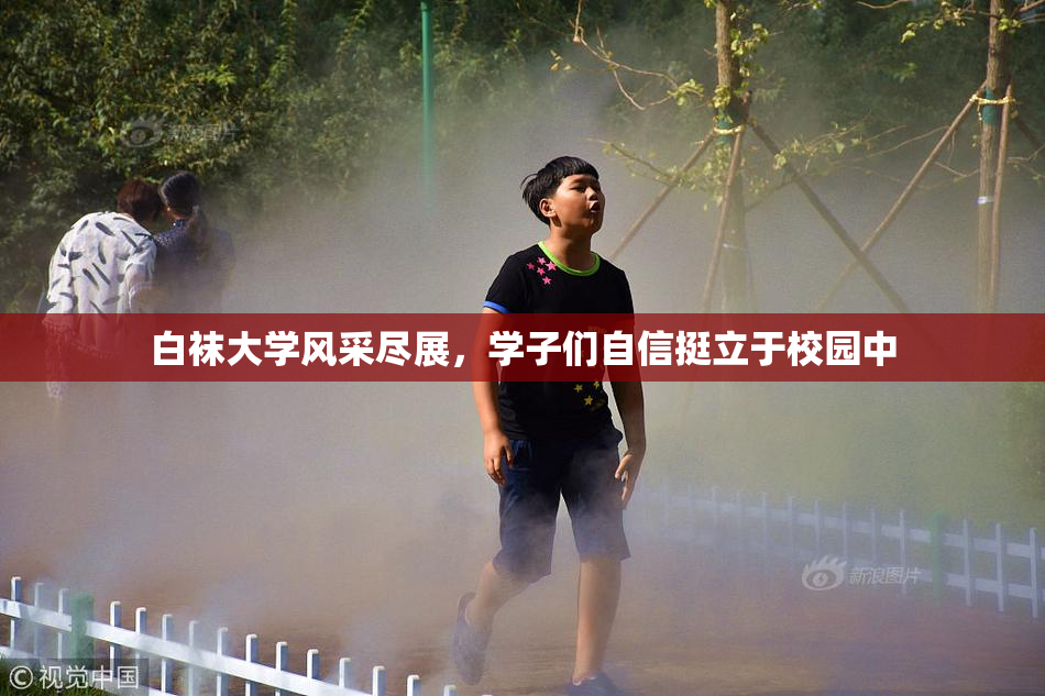白袜大学风采尽展，学子们自信挺立于校园中