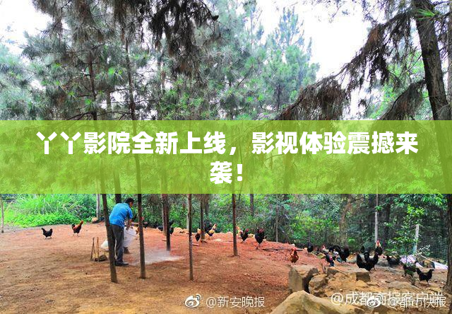 丫丫影院全新上线，影视体验震撼来袭！