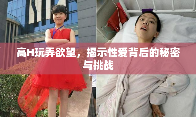 高H玩弄欲望，揭示性爱背后的秘密与挑战