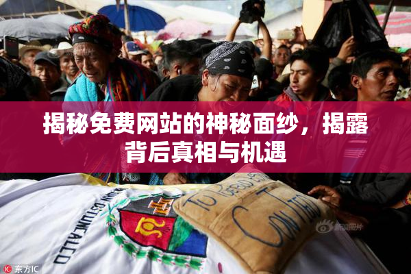 揭秘免费网站的神秘面纱，揭露背后真相与机遇