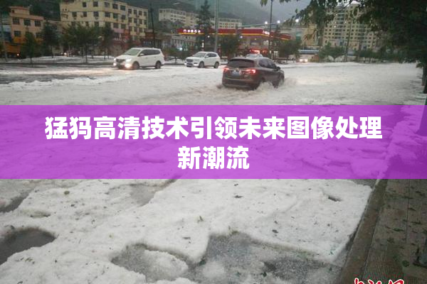 猛犸高清技术引领未来图像处理新潮流