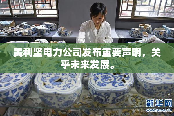 美利坚电力公司发布重要声明，关乎未来发展。
