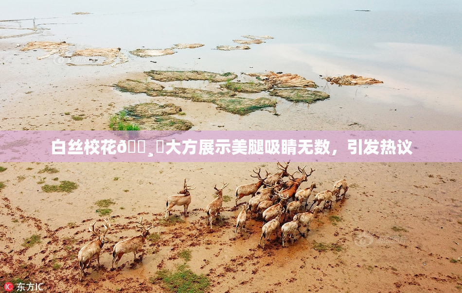白丝校花🌸‌大方展示美腿吸睛无数，引发热议