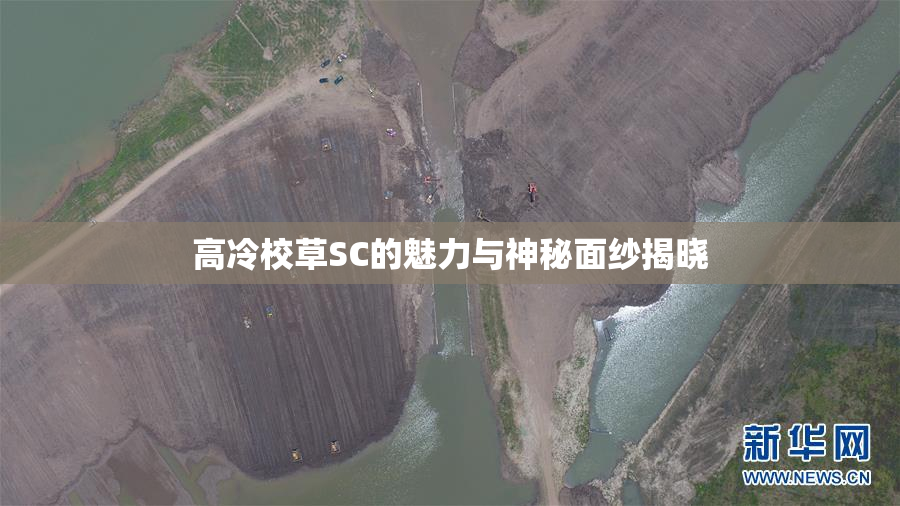 高冷校草SC的魅力与神秘面纱揭晓