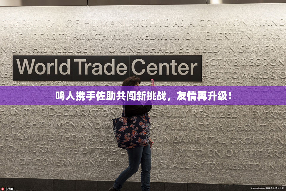 鸣人携手佐助共闯新挑战，友情再升级！