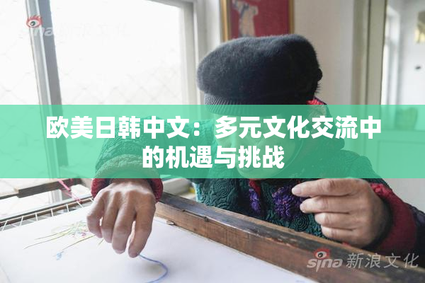 欧美日韩中文：多元文化交流中的机遇与挑战