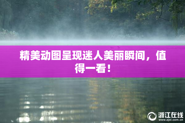 精美动图呈现迷人美丽瞬间，值得一看！