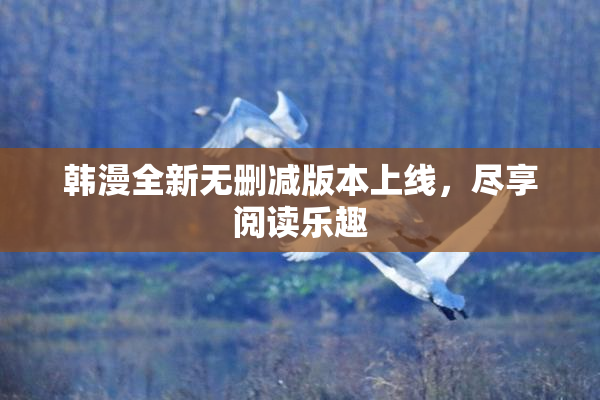 韩漫全新无删减版本上线，尽享阅读乐趣