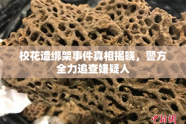 校花遭绑架事件真相揭晓，警方全力追查嫌疑人