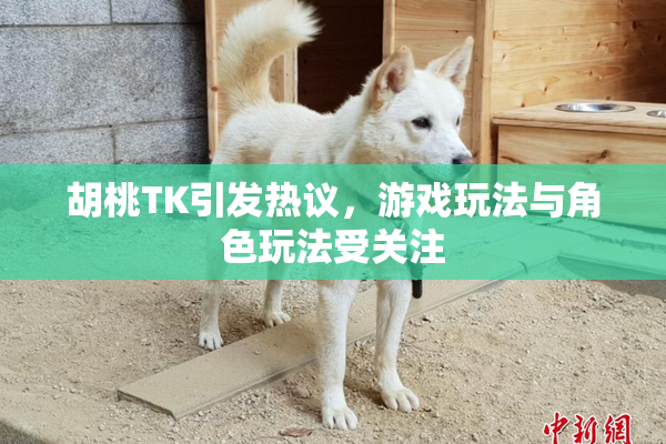 胡桃TK引发热议，游戏玩法与角色玩法受关注