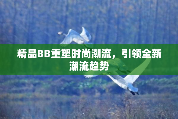 精品BB重塑时尚潮流，引领全新潮流趋势