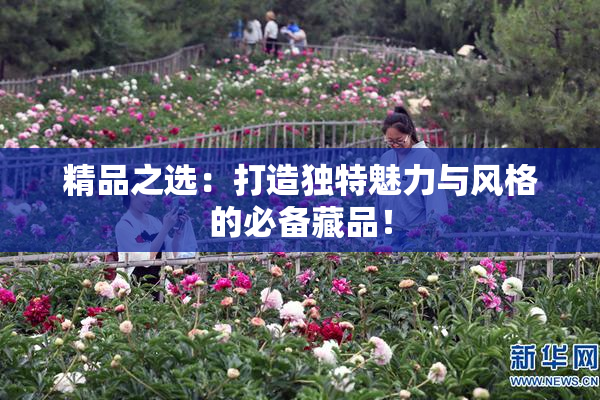 精品之选：打造独特魅力与风格的必备藏品！