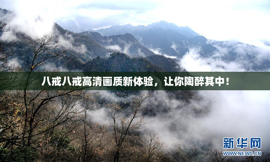 八戒八戒高清画质新体验，让你陶醉其中！
