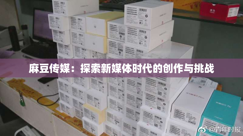 麻豆传媒：探索新媒体时代的创作与挑战