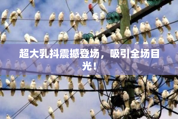 超大乳抖震撼登场，吸引全场目光！