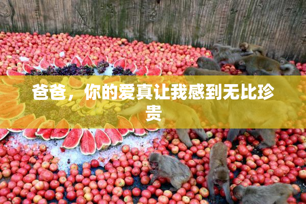 爸爸，你的爱真让我感到无比珍贵