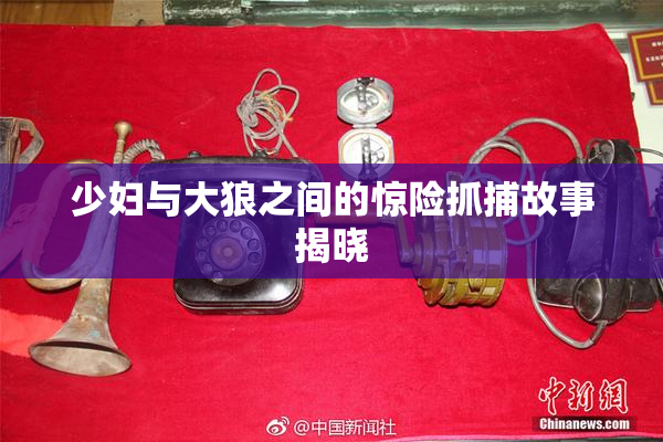 少妇与大狼之间的惊险抓捕故事揭晓