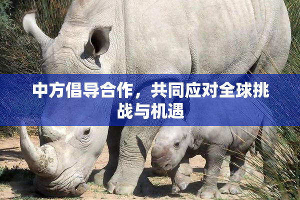 中方倡导合作，共同应对全球挑战与机遇