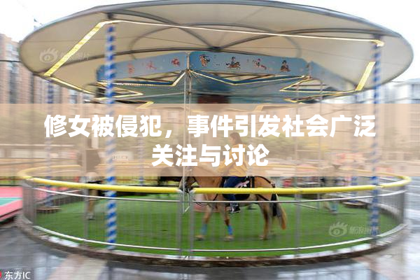 修女被侵犯，事件引发社会广泛关注与讨论