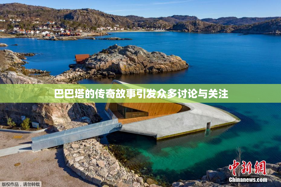巴巴塔的传奇故事引发众多讨论与关注