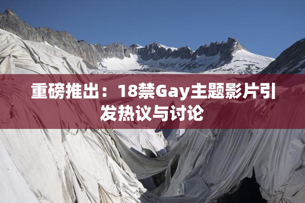 重磅推出：18禁Gay主题影片引发热议与讨论
