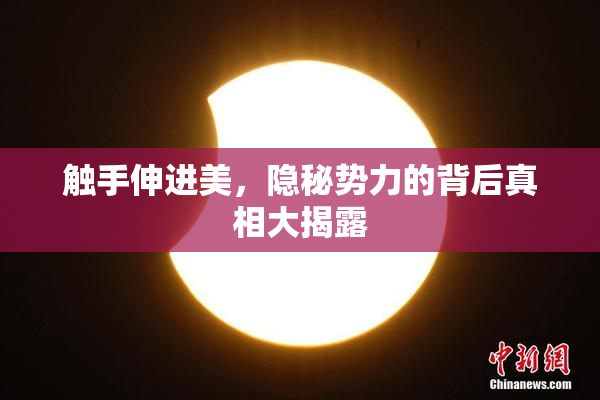 触手伸进美，隐秘势力的背后真相大揭露