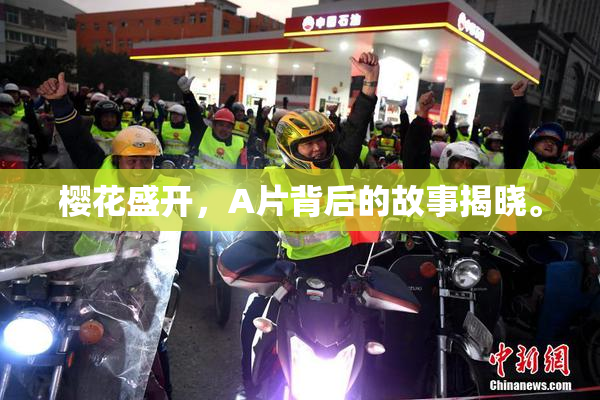 樱花盛开，A片背后的故事揭晓。