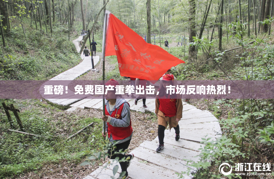 重磅！免费国产重拳出击，市场反响热烈！