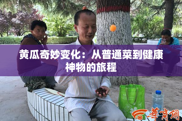 黄瓜奇妙变化：从普通菜到健康神物的旅程