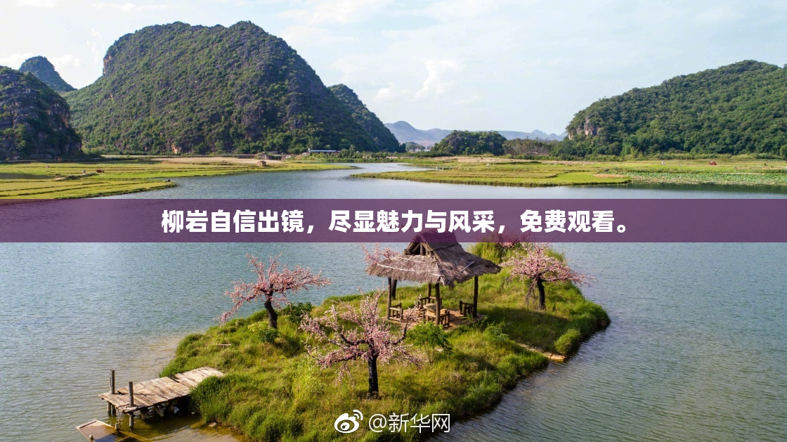 柳岩自信出镜，尽显魅力与风采，免费观看。