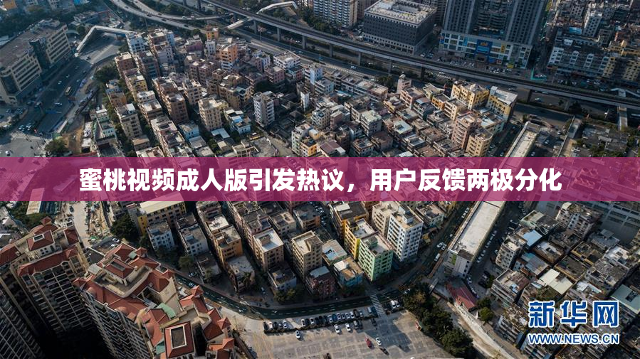 蜜桃视频成人版引发热议，用户反馈两极分化