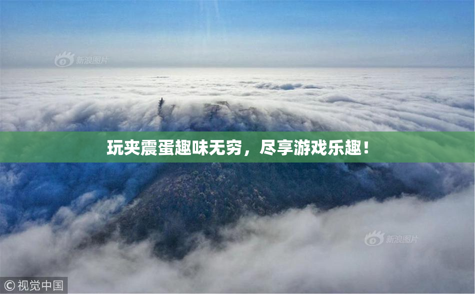 玩夹震蛋趣味无穷，尽享游戏乐趣！