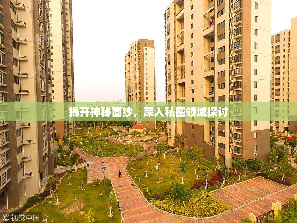 揭开神秘面纱，深入私密领域探讨