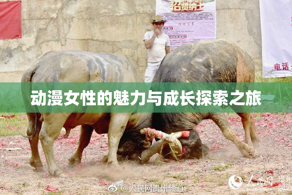 动漫女性的魅力与成长探索之旅