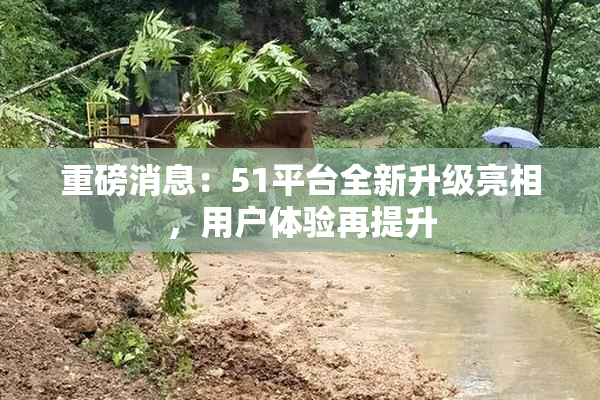 重磅消息：51平台全新升级亮相，用户体验再提升