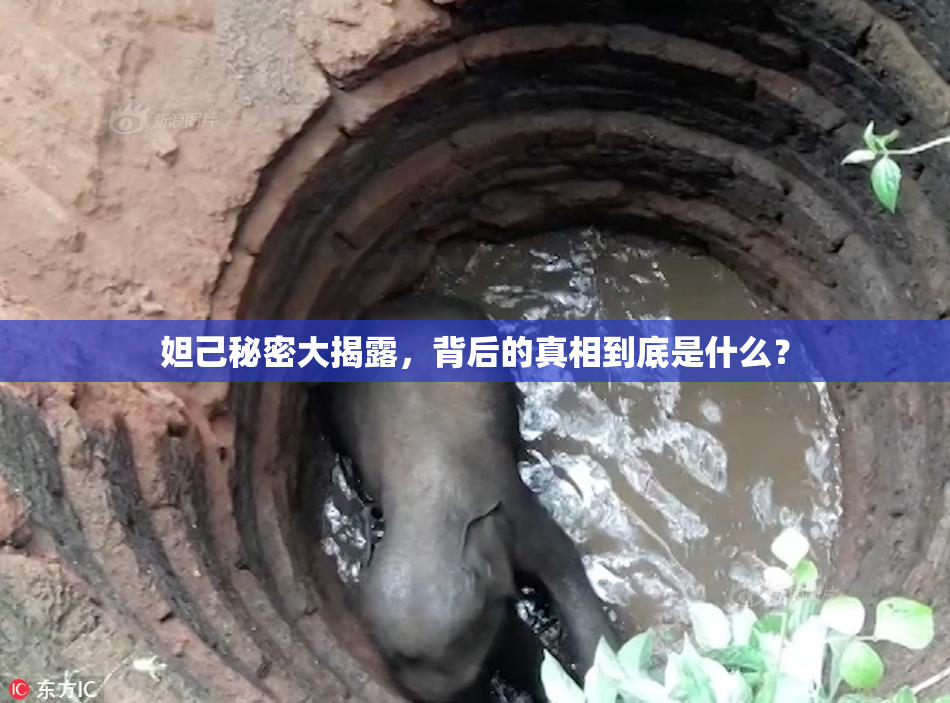 妲己秘密大揭露，背后的真相到底是什么？