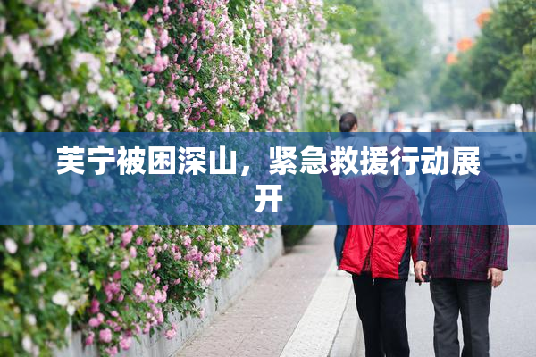 芙宁被困深山，紧急救援行动展开
