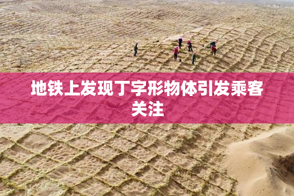 地铁上发现丁字形物体引发乘客关注