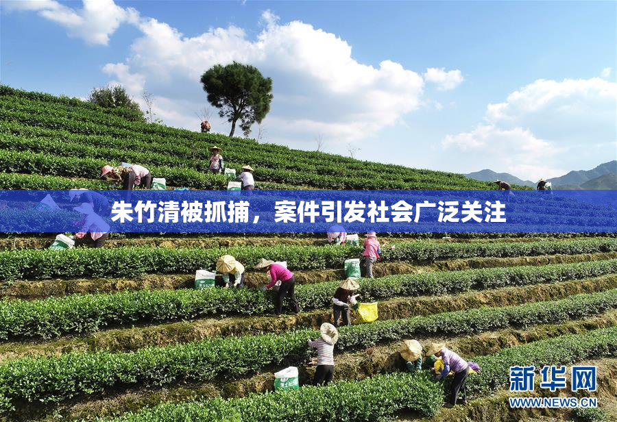 朱竹清被抓捕，案件引发社会广泛关注