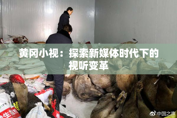 黄冈小视：探索新媒体时代下的视听变革